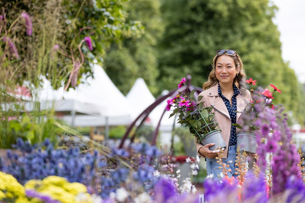 Gardener at outdoor garden show carrying purple flowers among vibrant blue and yellow blooms with white tents in background.