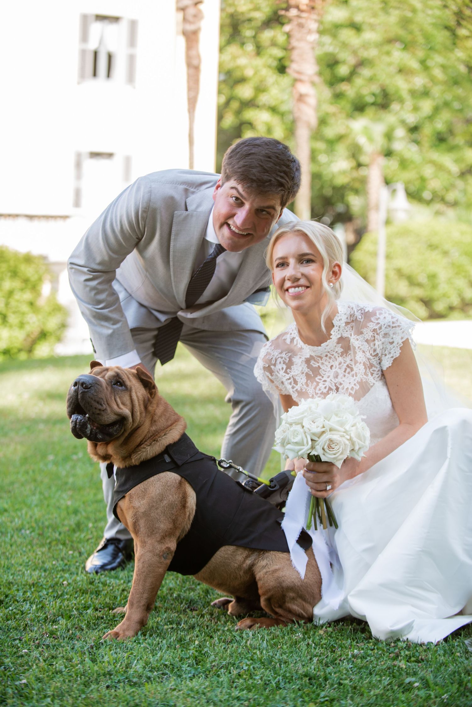 A playful brown dog interrupts a wedding photo session on a grassy lawn, bringing joy and laughter to the moment.