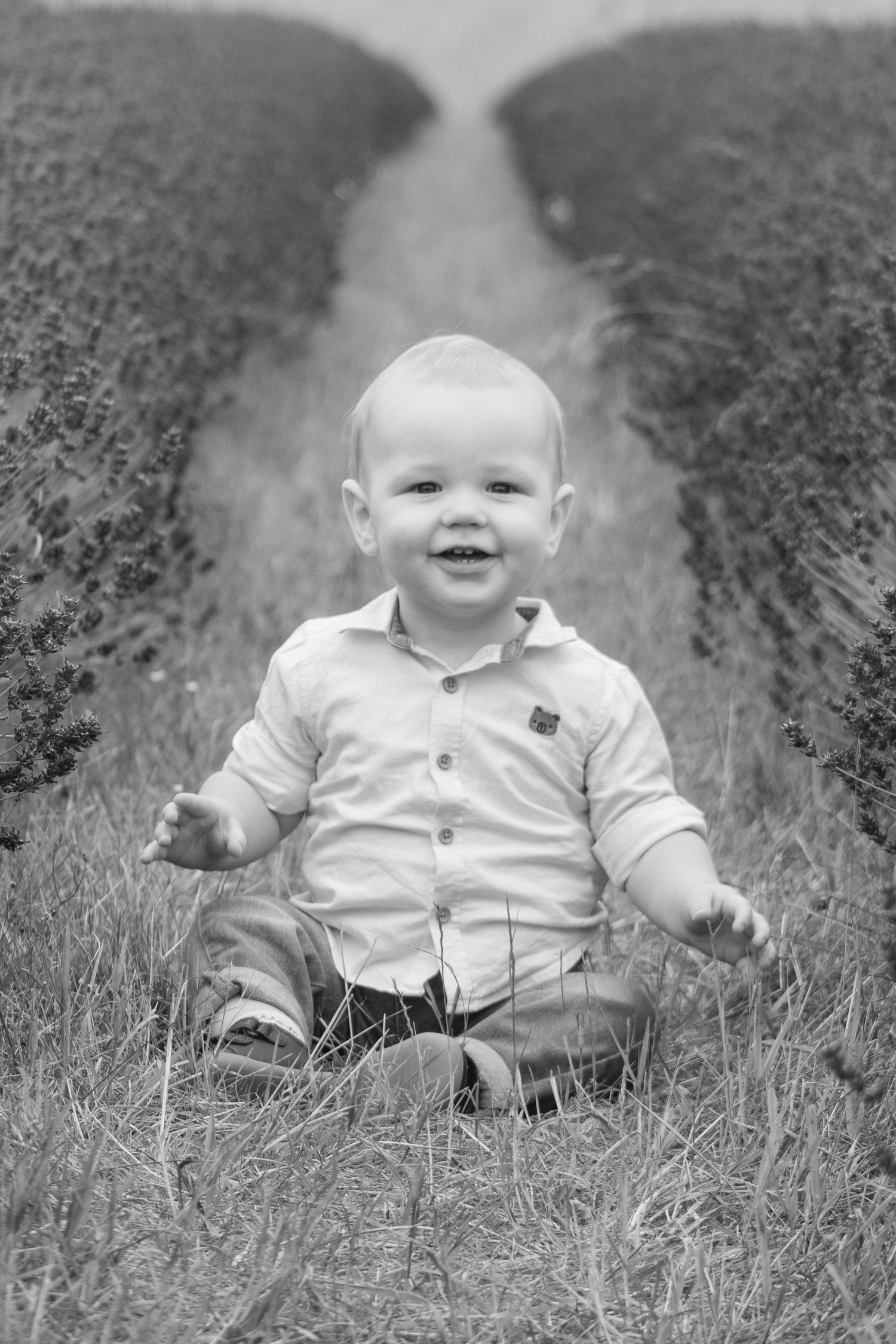 One year old exploring lavender fields in Broadway
