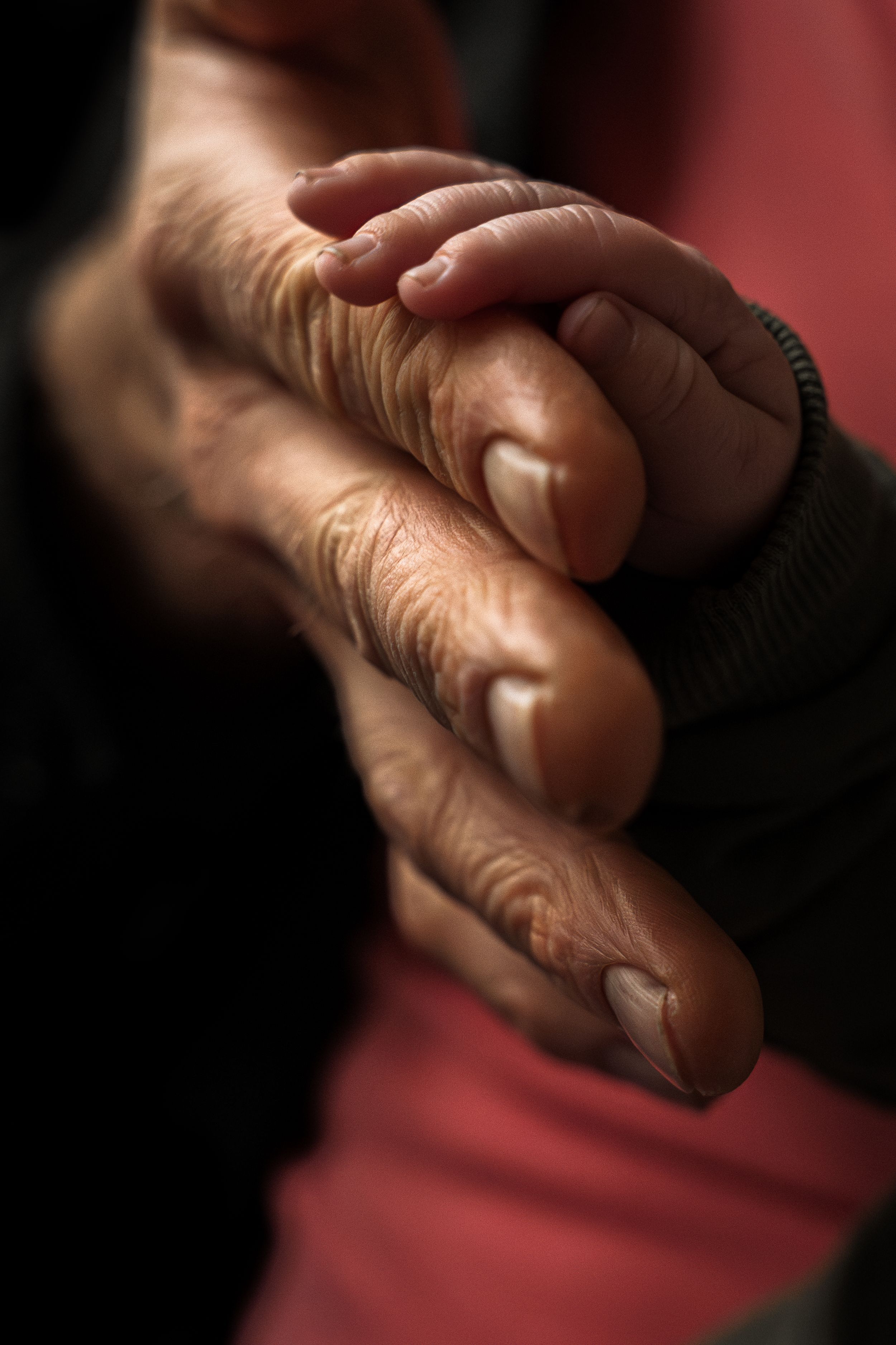 Close-up sequence of elderly hands with wrinkled skin against a red background showing different positions and gestures.