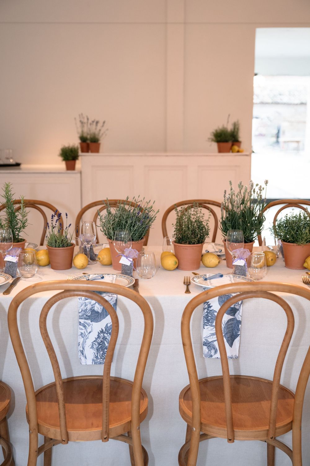 Elegant table setting with wooden chairs and potted herbs as centerpieces for a rustic wedding reception.