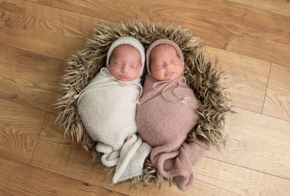 twin newborn babies swaddled in a basket. photo studio near Selby