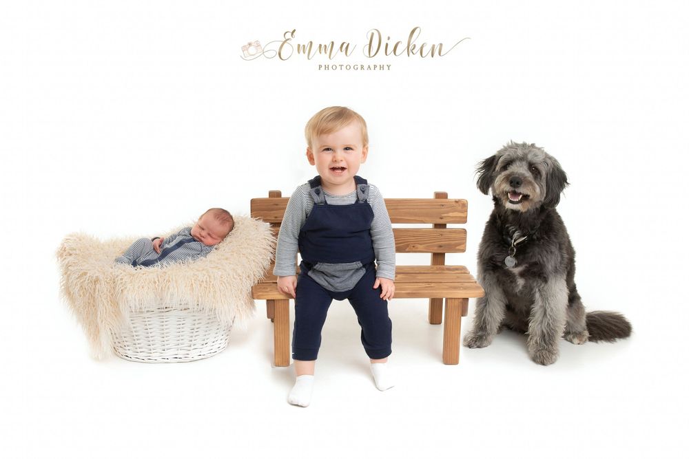 newborn baby in basket with little boy and dog at professional photoshoot near Goole