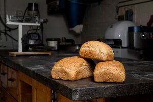 3 broden in het atelier van een bakkerij in Zoersel
