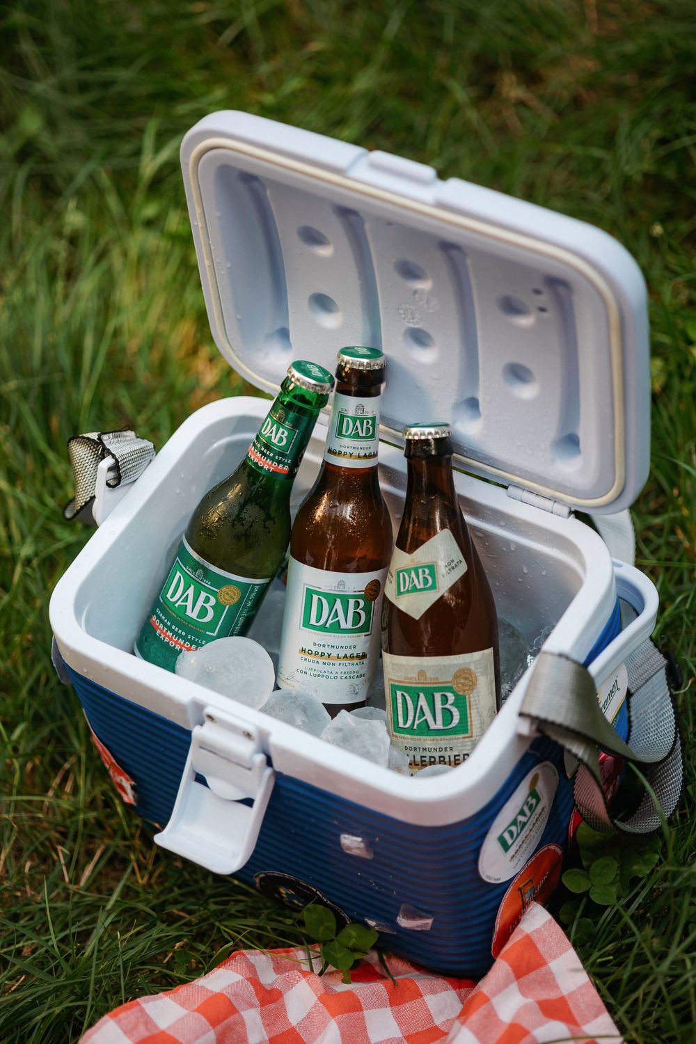 Small blue and white cooler filled with DAB beer bottles sitting on grass and checkered picnic blanket.