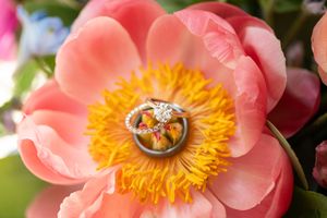 Pink anemone flower with bright yellow center and delicate petals shown in a close-up macro photograph.