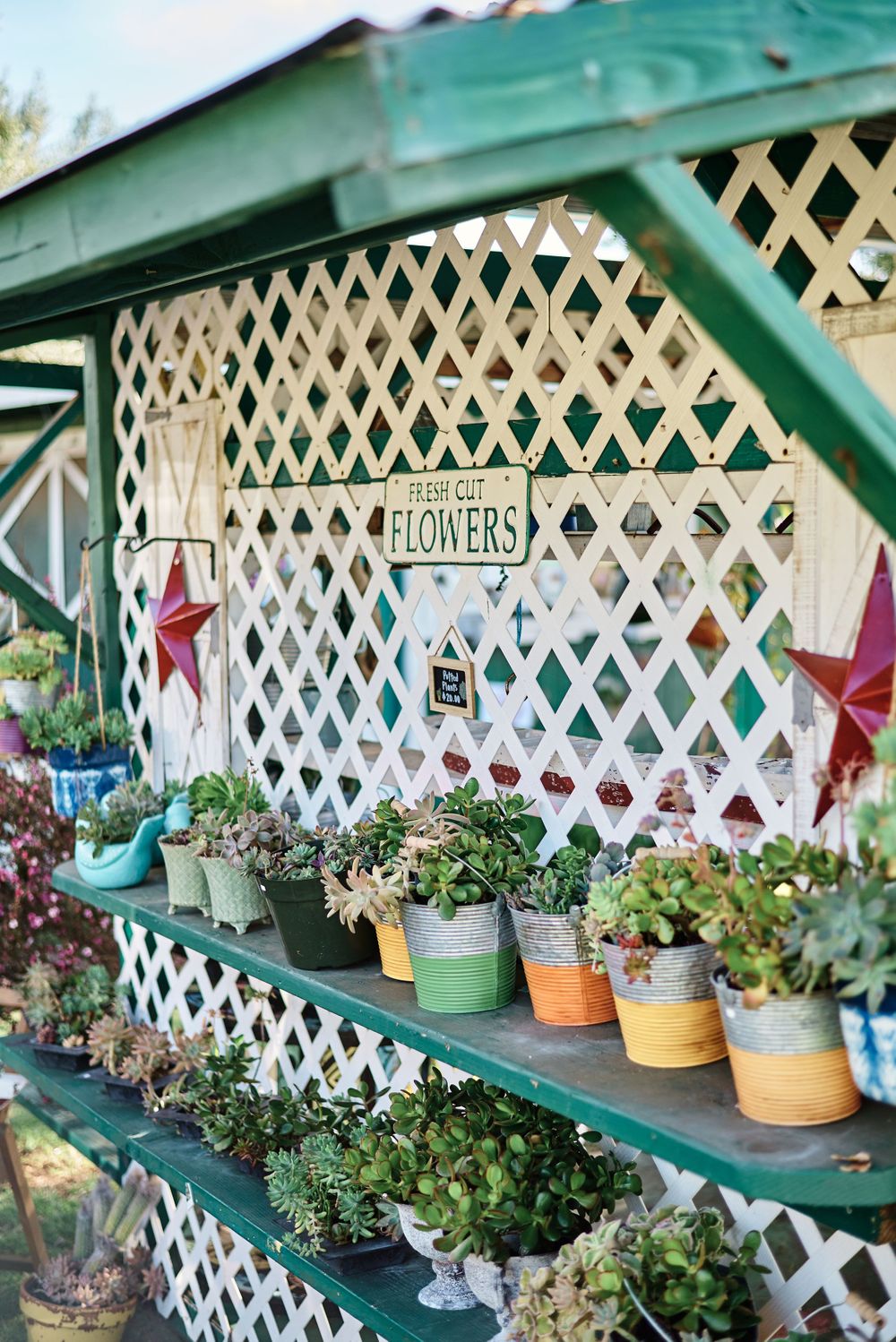Flower shop display with potted plants on green lattice shelves and decorative signage.