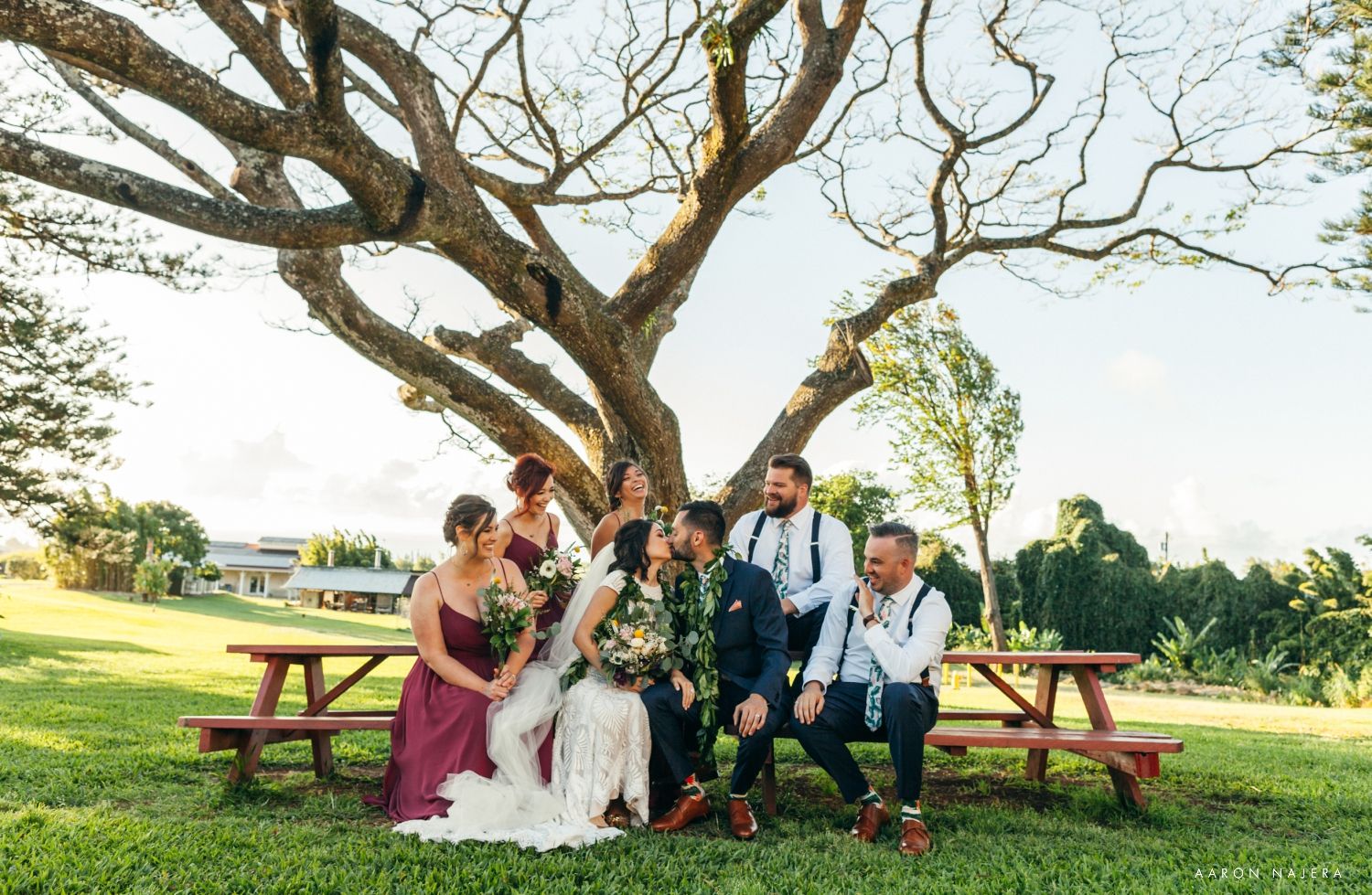 Wedding party gathered under large sprawling tree branches on wooden benches for group photo.