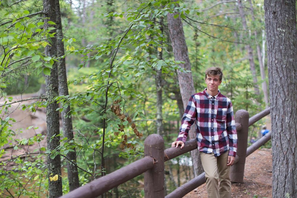 Person walking along a wooden boardwalk trail through a lush green forest on a sunny day.