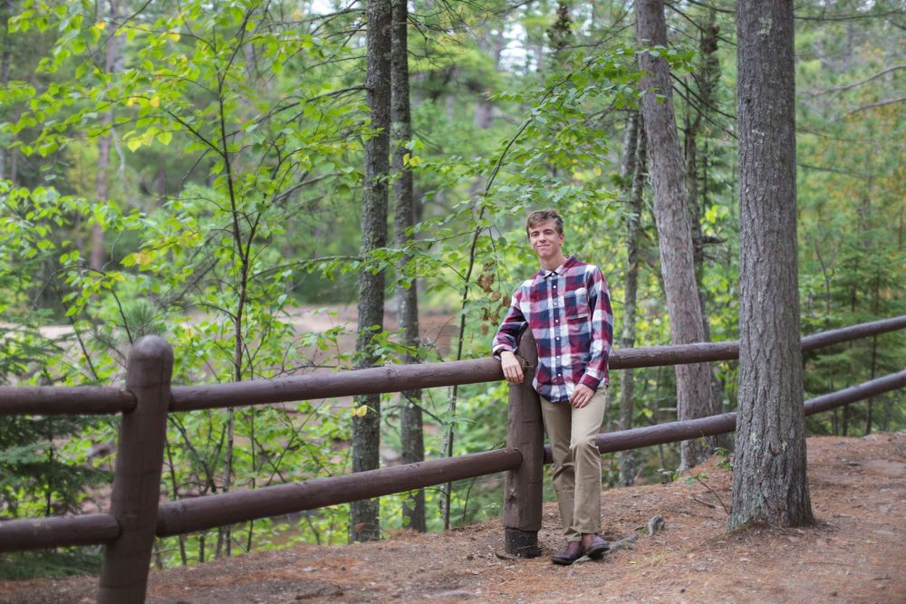 A person in a plaid shirt stands on a wooden railing path through a peaceful forest setting.