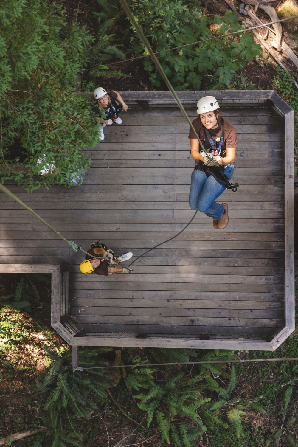 Aerial view of a wooden deck surrounded by lush green foliage in a forest setting.