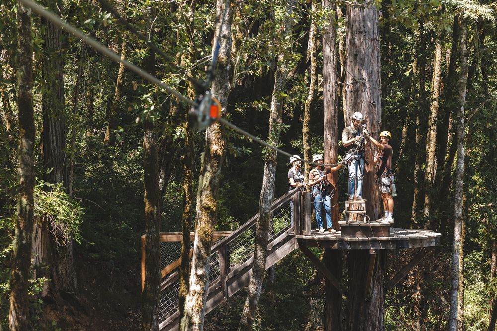 Adventure seekers enjoy a thrilling ropes course experience high up in the forest canopy among tall trees.
