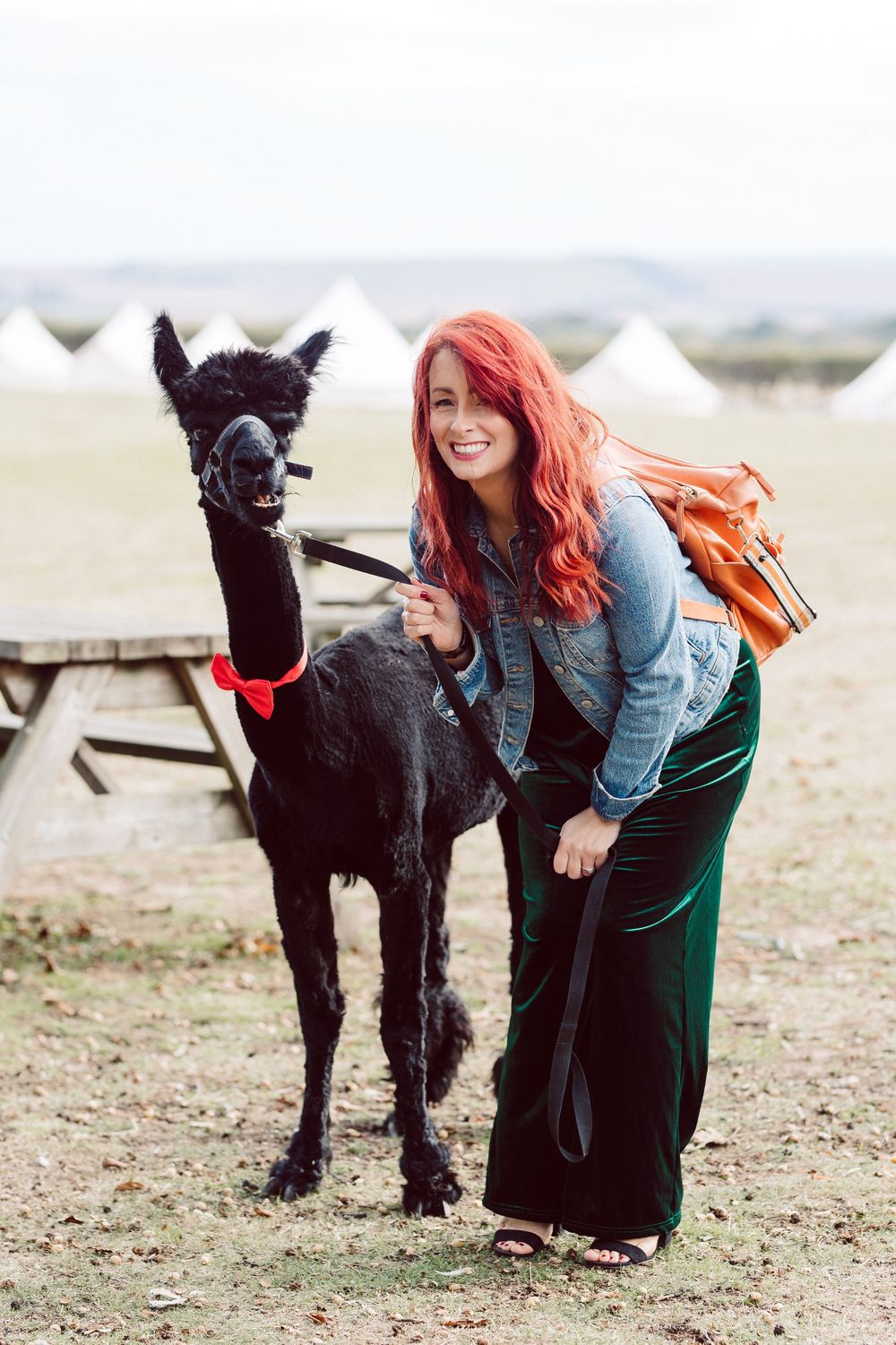 A black llama stands beside someone in a denim jacket and green skirt at a field with white tents in the background.