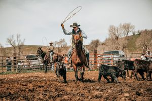Cowboys demonstrating roping skills during a ranch roundup event.
