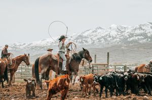 Western ranching scene with horses and cattle in mountain valley.