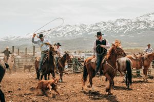 Ranch hands on horseback herding cattle in a dusty field with mountains in the background.