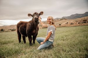 A brown cow and posing together in a scenic mountain pasture.