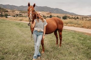A chestnut horse and standing together in a mountain field at sunset.