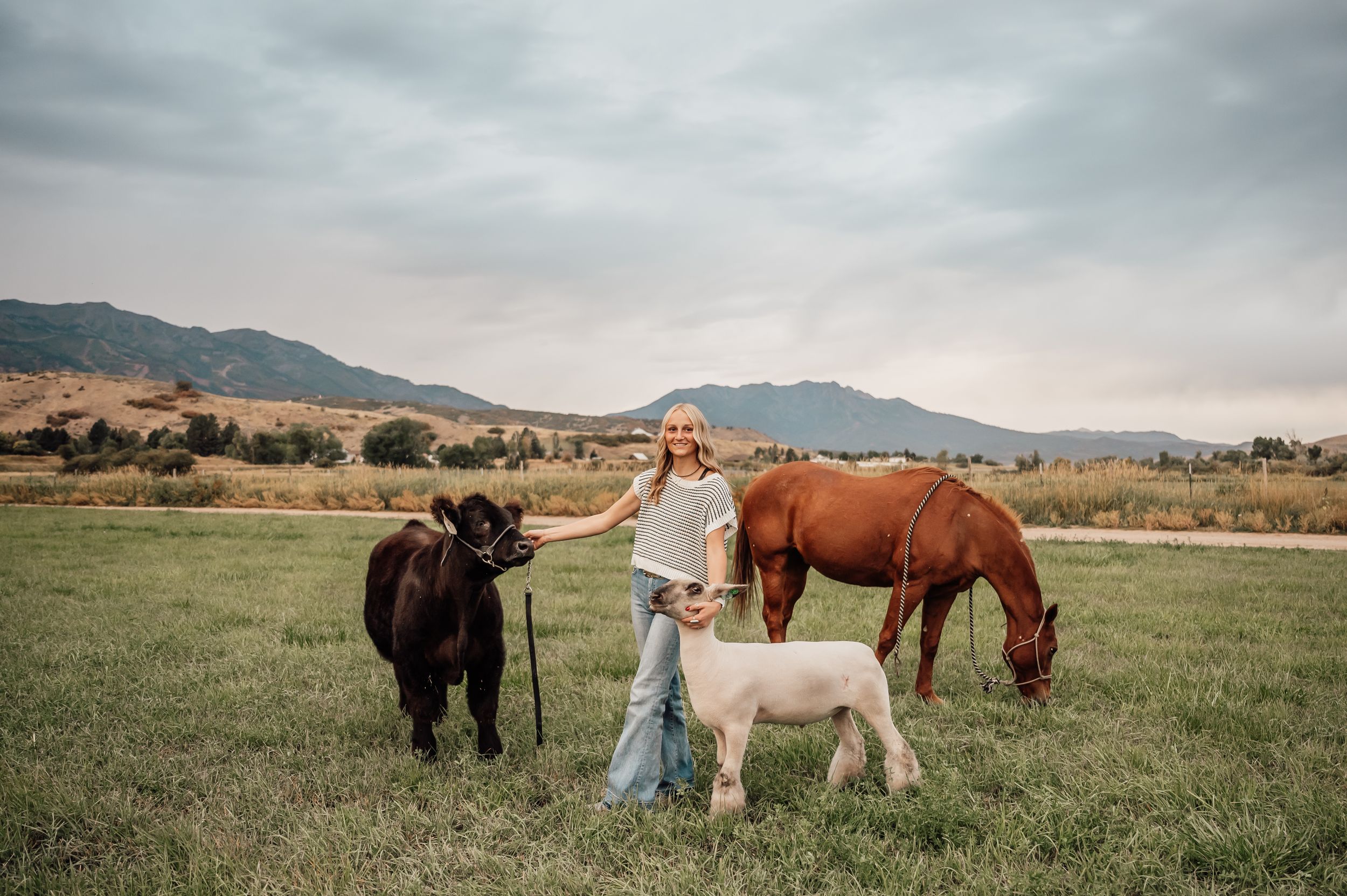 A pastoral scene with livestock including a horse, cow, and pig in a mountain meadow.