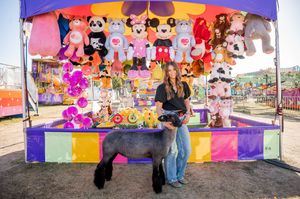 A colorful carnival game booth filled with stuffed animal prizes under a blue tent.
