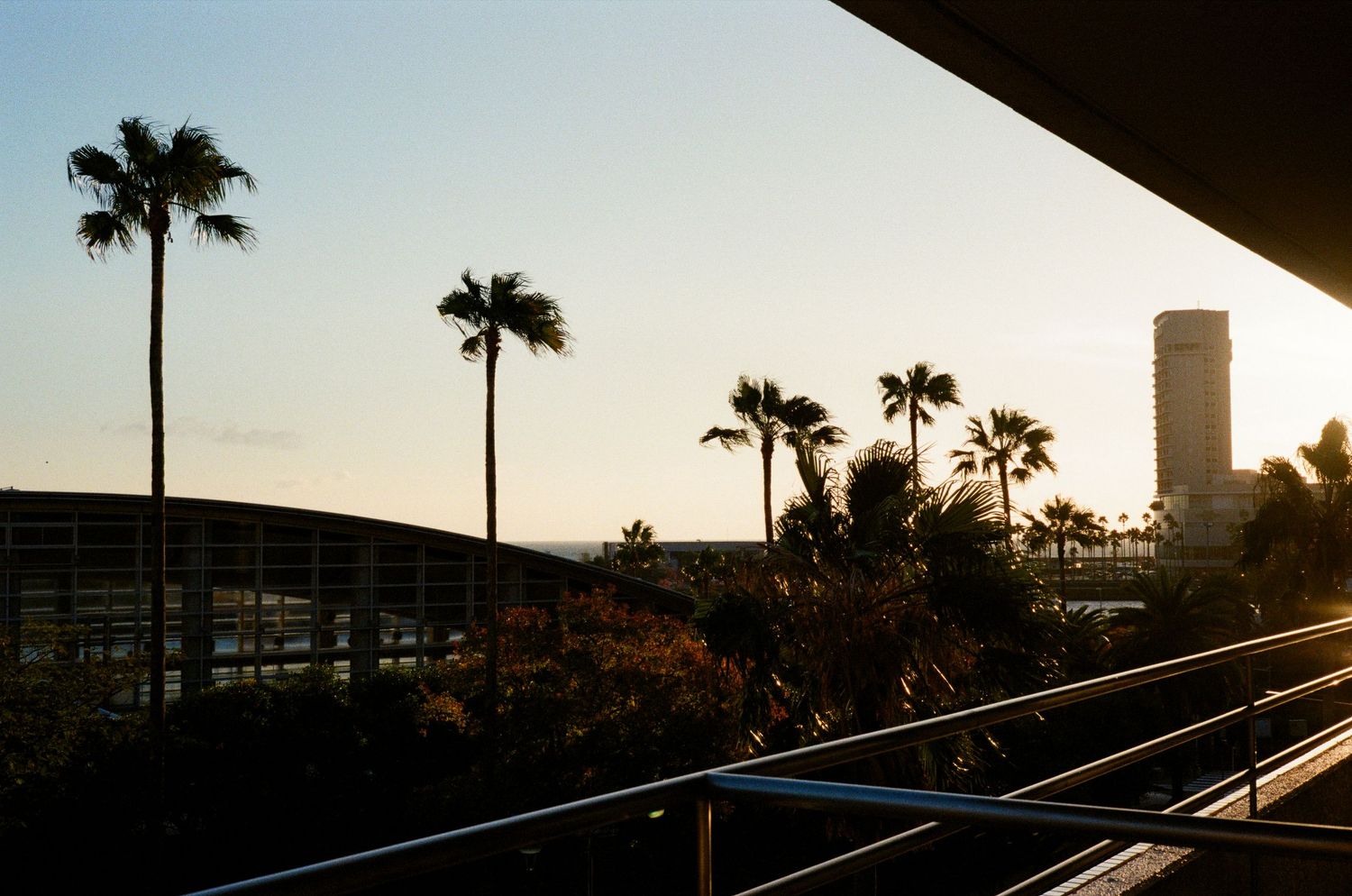 Palm trees silhouetted against a sunset sky with diagonal architectural lines creating a modern urban landscape.
