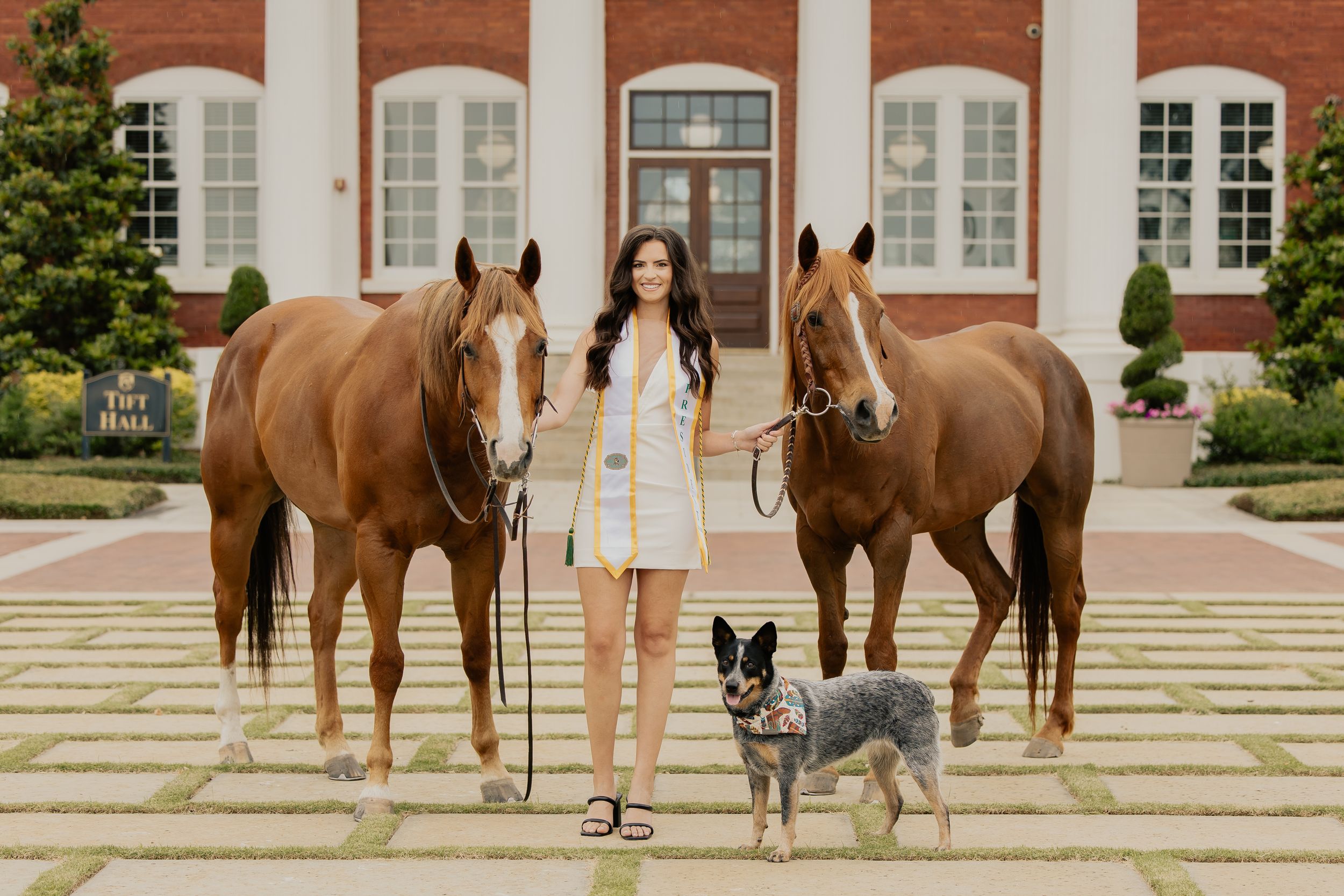 Woman in white dress posing with two chestnut horses and a blue heeler dog in front of brick building.