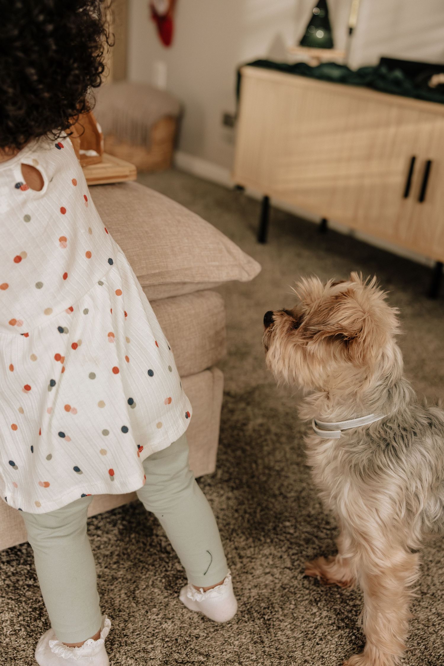Small dog follows toddler wearing polka dot dress and white tights across carpeted floor in home setting.