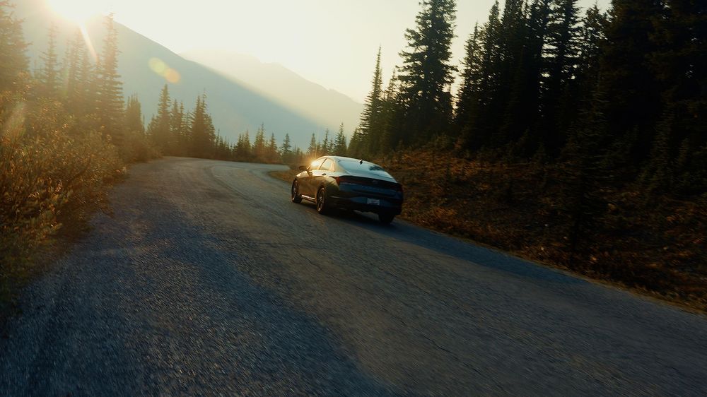 Mountain road curves through dense pine forest at sunset.