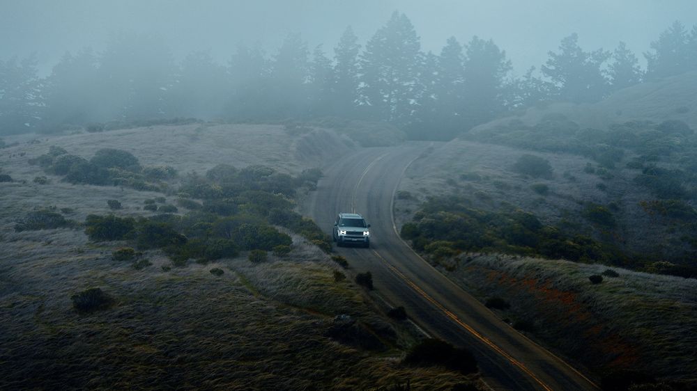 Misty forest road winding through evergreen trees with vehicle in distance.