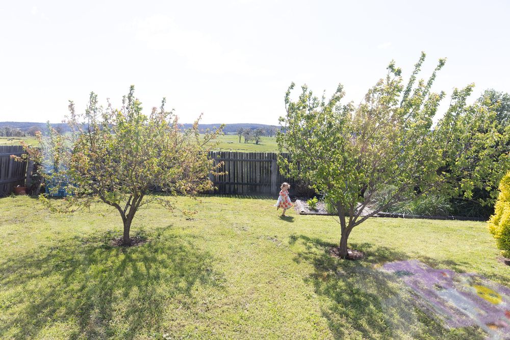 The view of the backyard during an intimate country wedding morning with a child running around