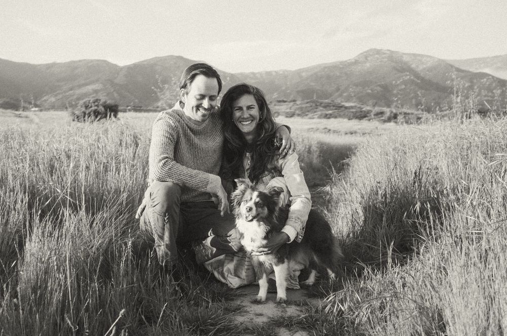 Black and white photos show people enjoying outdoor moments with their dogs in grassy fields and sunny weather.