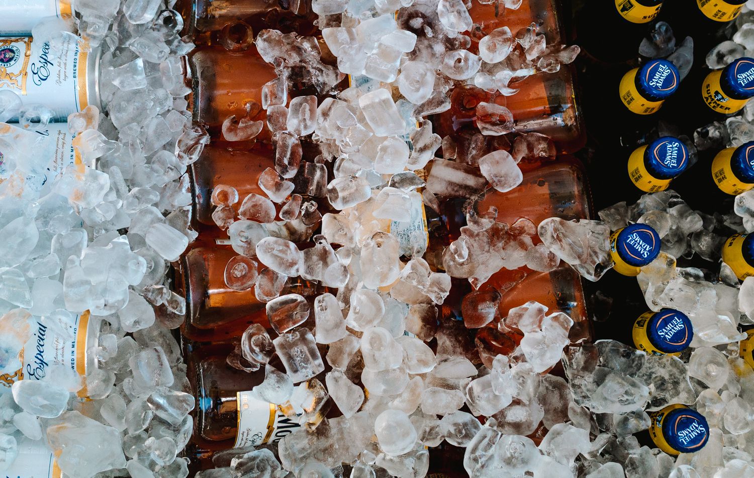 Chilled Corona beer bottles packed in ice for an outdoor party or wedding reception.