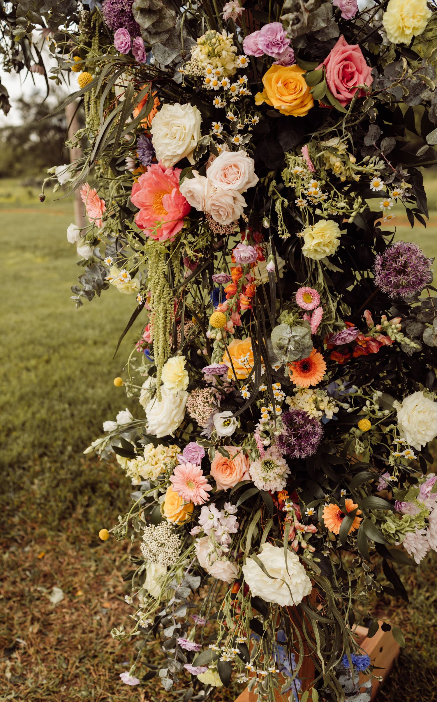 Close-up of vibrant wedding arch flowers featuring roses, gerbera daisies, allium, and cascading greenery.