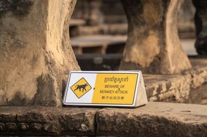 Yellow warning signs with monkey symbols along a stone path at Angkor Wat.