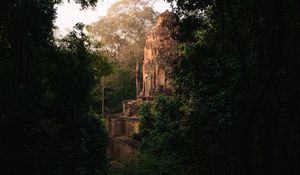 Ancient temple spires peeking through dense jungle canopy at sunset.