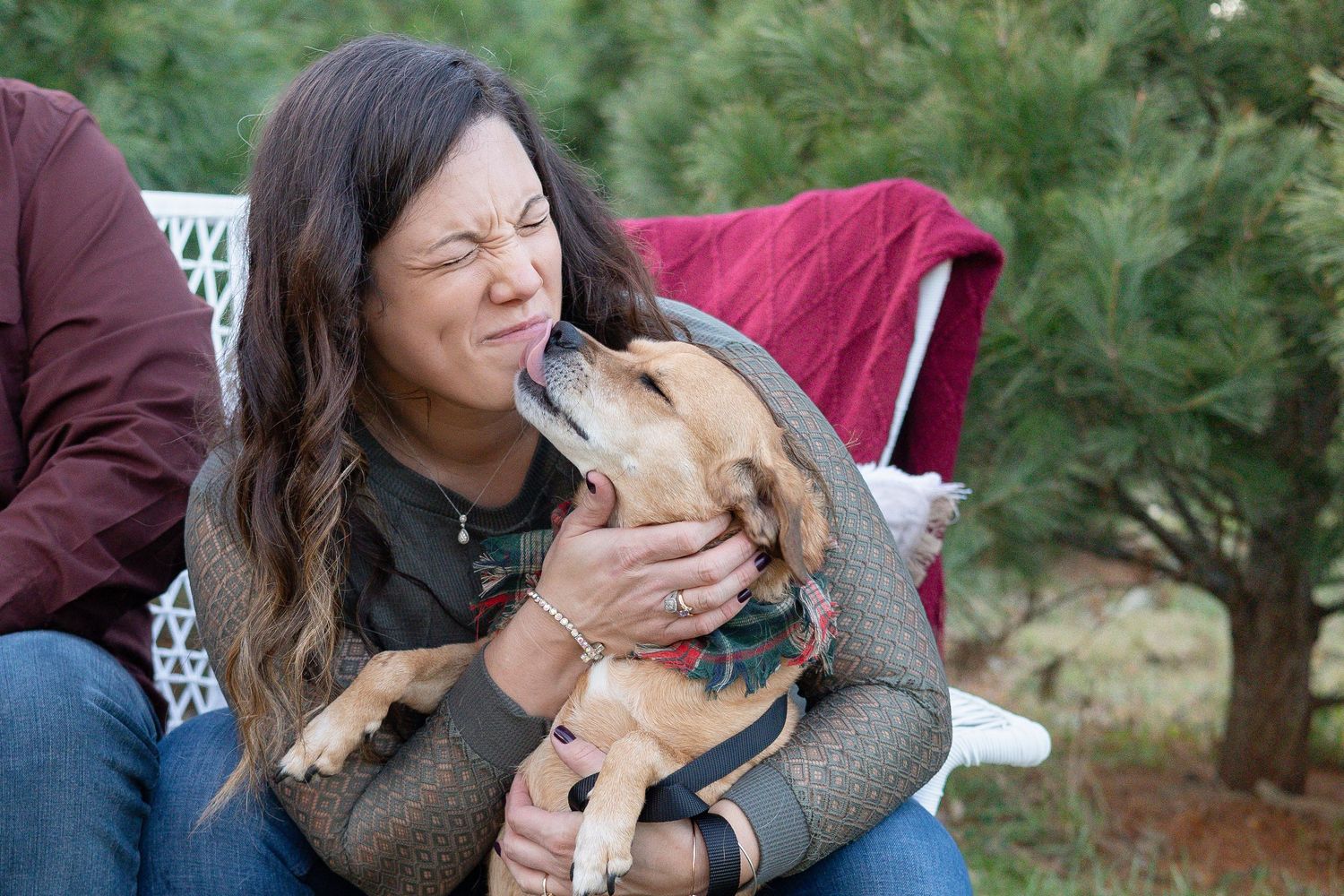 Springfield, IL Photographer captures a dog kissing their owner's face during a family session in Central, IL.