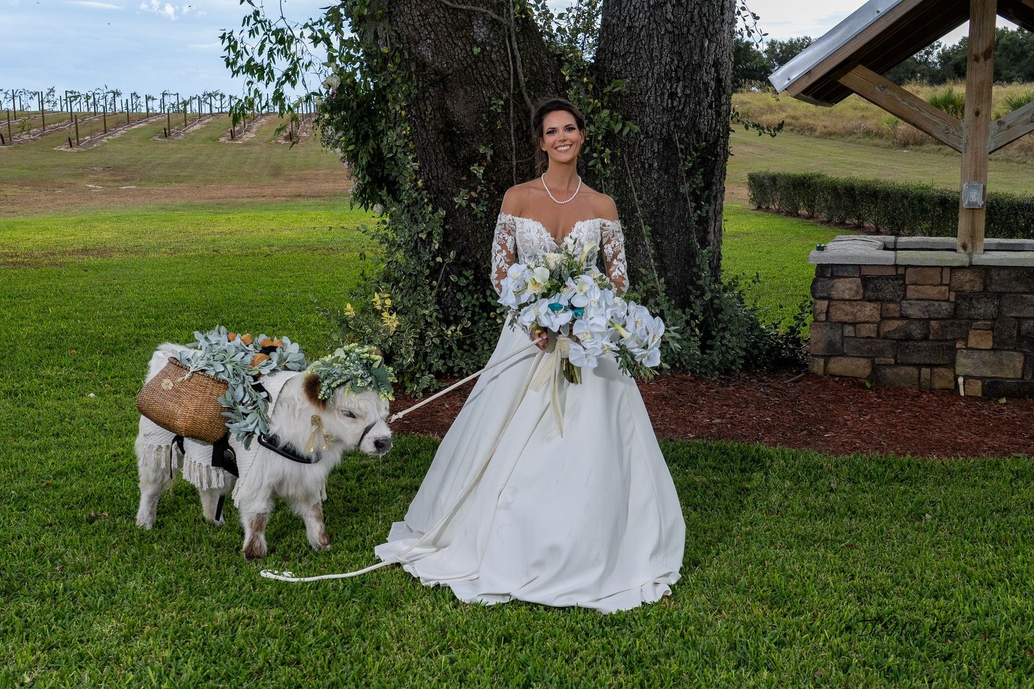 Professional wedding and engagement photography in Tampa, Wesley Chapel, Carrollwood, Brandon, Westchase, Temple Terrace, Davis Islands, Cle