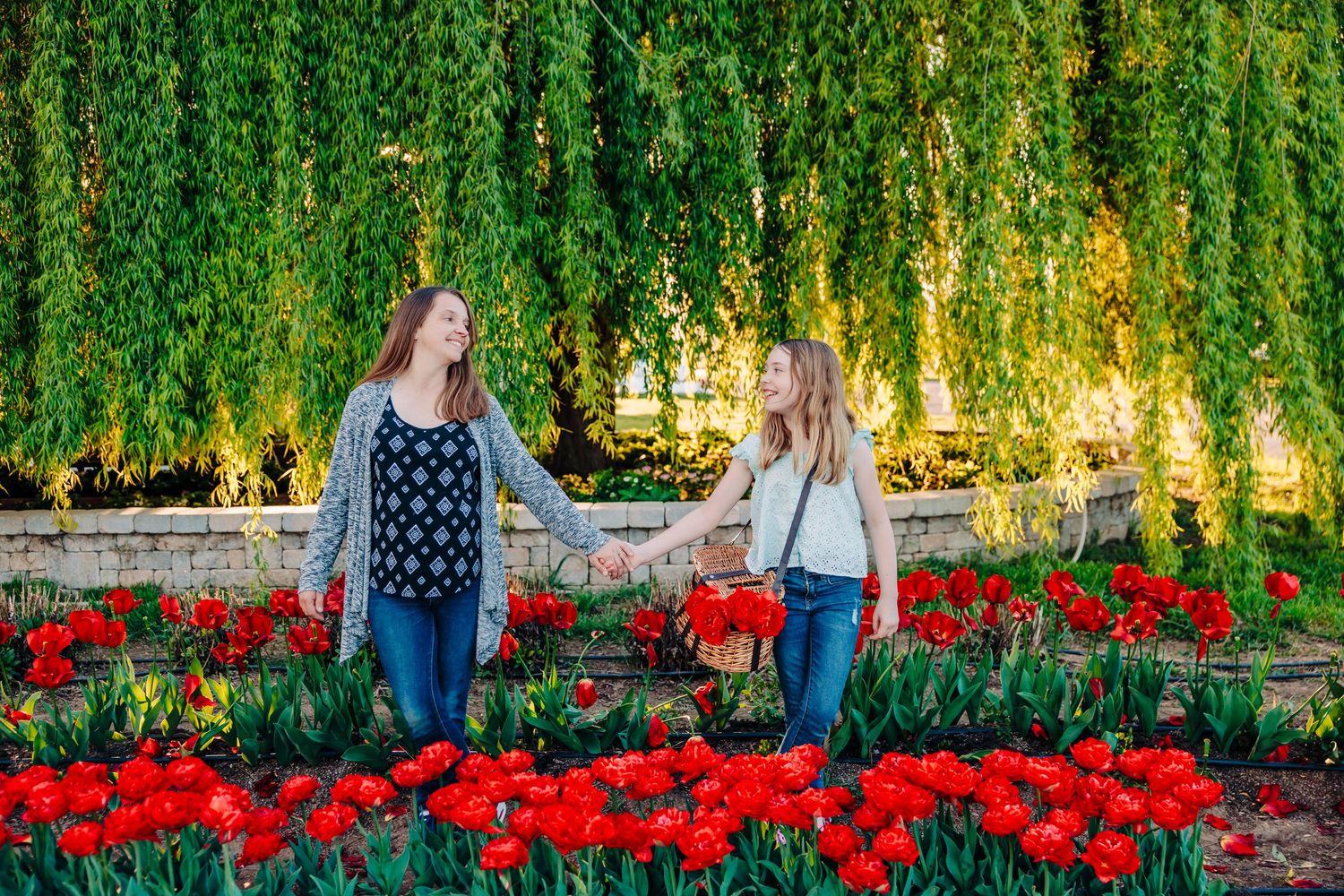 Two people stroll through a vibrant garden with blooming red tulips and cascading willow trees in the background.