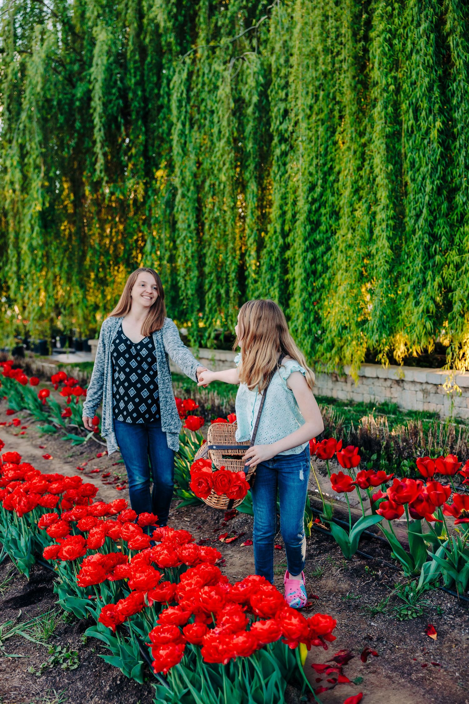 Two people enjoying a spring garden with vibrant red tulips and cascading willow trees in the background.
