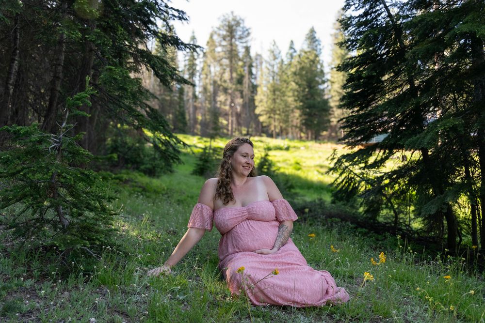 Woman in pink dress sitting gracefully in sunlit forest clearing.