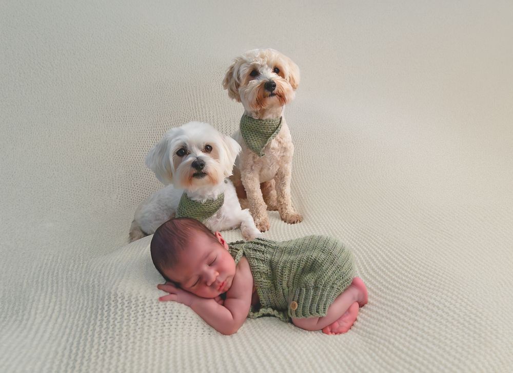 Newborn baby in green knit outfit posed with two small fluffy dogs wearing matching green bandanas on white background.