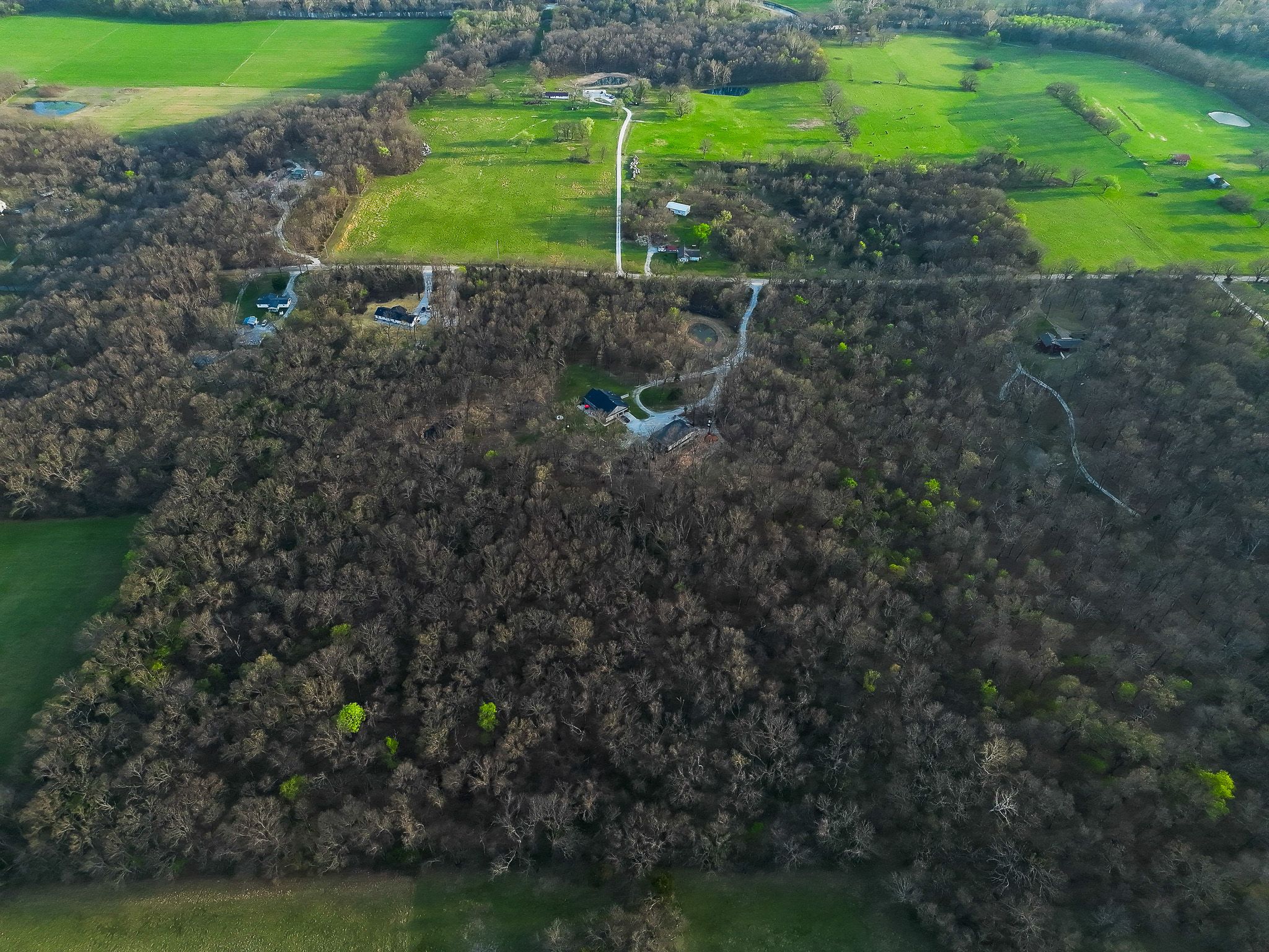 Aerial view of dense woodland surrounded by green farmland with winding paths and scattered trees in a rural landscape.