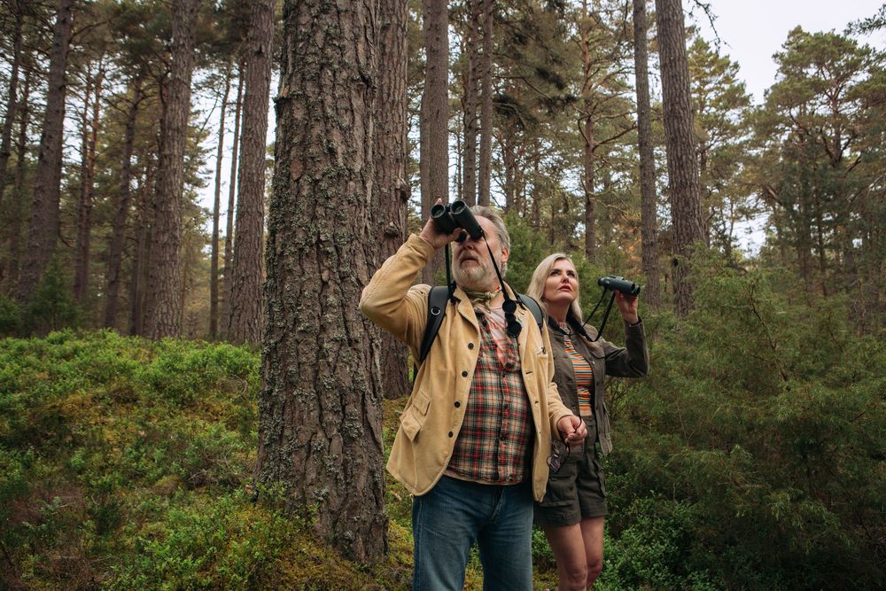 Older couple birdwatching in a pine forest, man using binoculars while woman points upward.