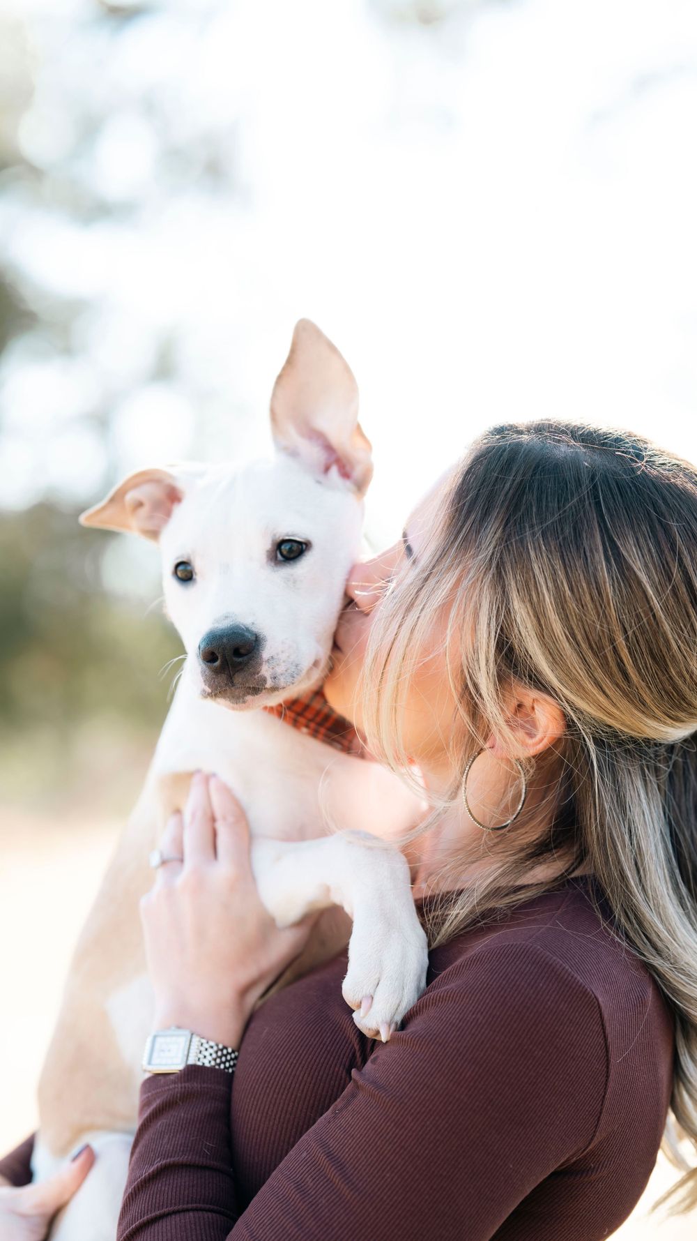 White puppy with black spotted ear being lovingly held and kissed by person in maroon sweater.