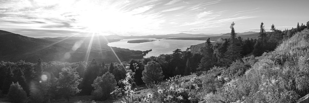Black and white panoramic sunset view over a lake from a hillside with wildflowers.