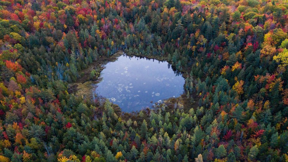 Stunning aerial view of a small oval lake surrounded by vibrant red, orange, and yellow autumn forest.