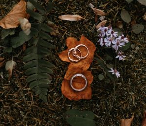 wedding rings placed on leaves surrounded by moss fern and flowers