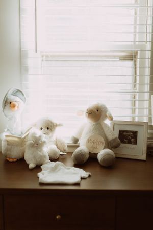 stuffed animals sit on a brown dresser in front of a window letting light into the nursery