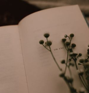 a bundle of flowers lay on the last page of a book that says nothing but 'the end' in Western North Carolina just outside of Asheville