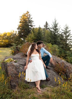 a bride and groom sit on a large rock by the Blueridge Parkway in Asheville North Carolina with pine trees and yellow flowers around them